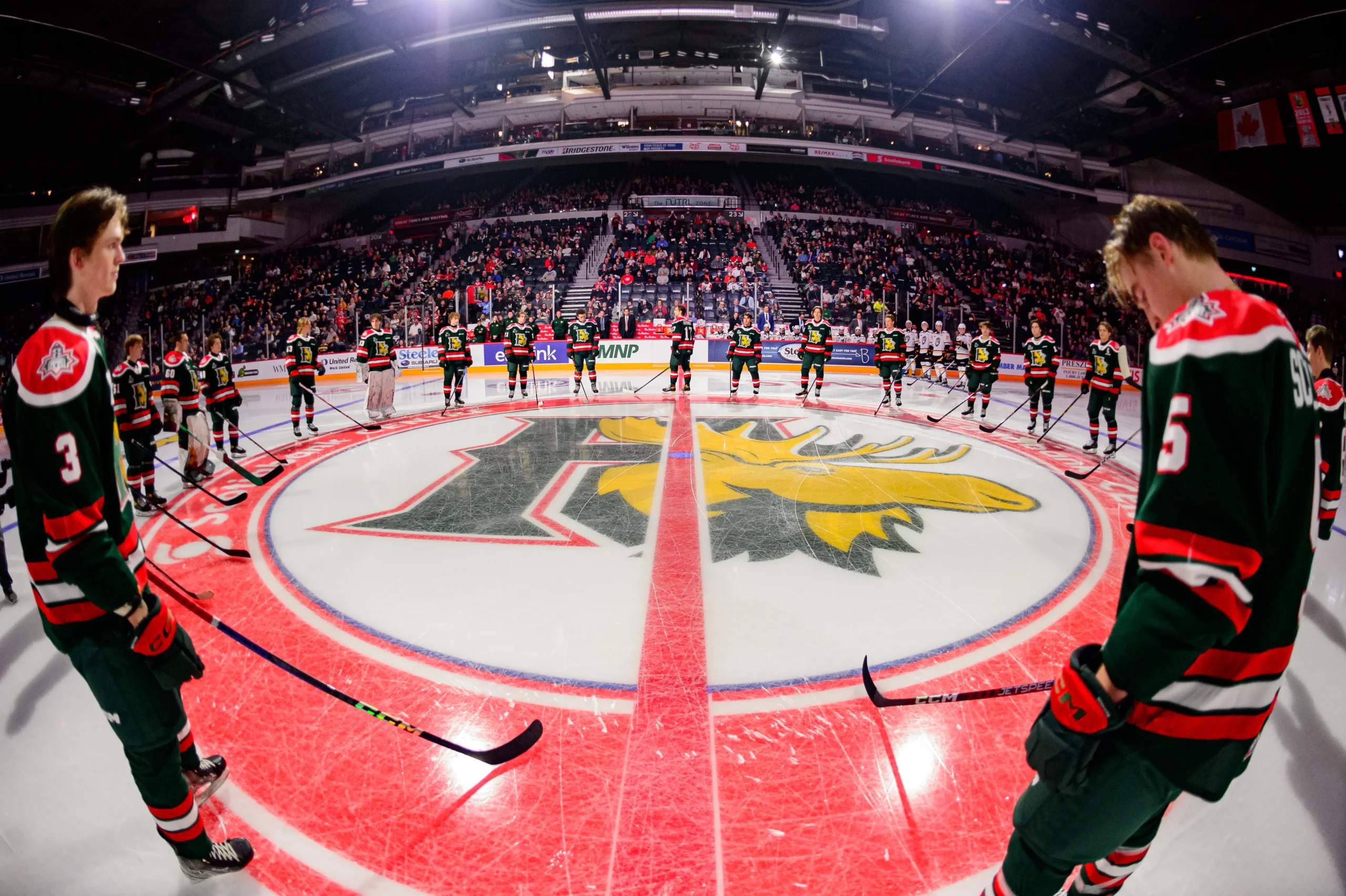 mooseheads hockey - How many home games do the Halifax Mooseheads have
