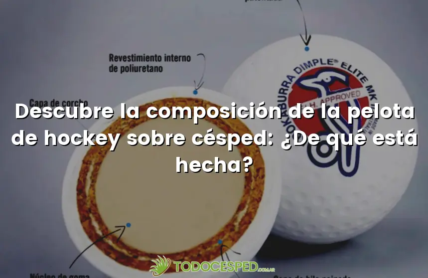 Características de la Pelota de Hockey sobre Césped - Qué pelota se utiliza en el hockey caracteristicas del pelota de hockey sobre cesped - Qué pelota se utiliza en el hockey