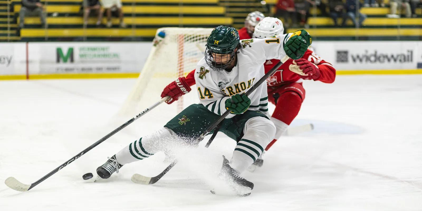 <b>Vermont Catamounts Hockey</b>: Una Historia de Éxito - What division is Vermont Academy hockey vermont catamounts hockey - What division is Vermont Academy hockey