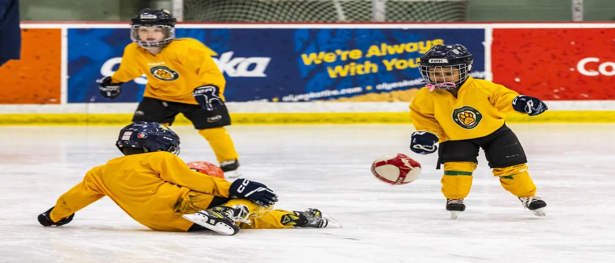 Aha Hockey Anchorage: La Guía Definitiva de los Anchorage Wolverines - What level are the Anchorage Wolverines aha hockey anchorage - What level are the Anchorage Wolverines